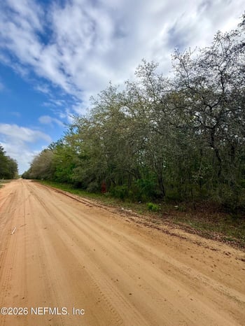 XXX Neilsen Ave, Interlachen, FL 32148