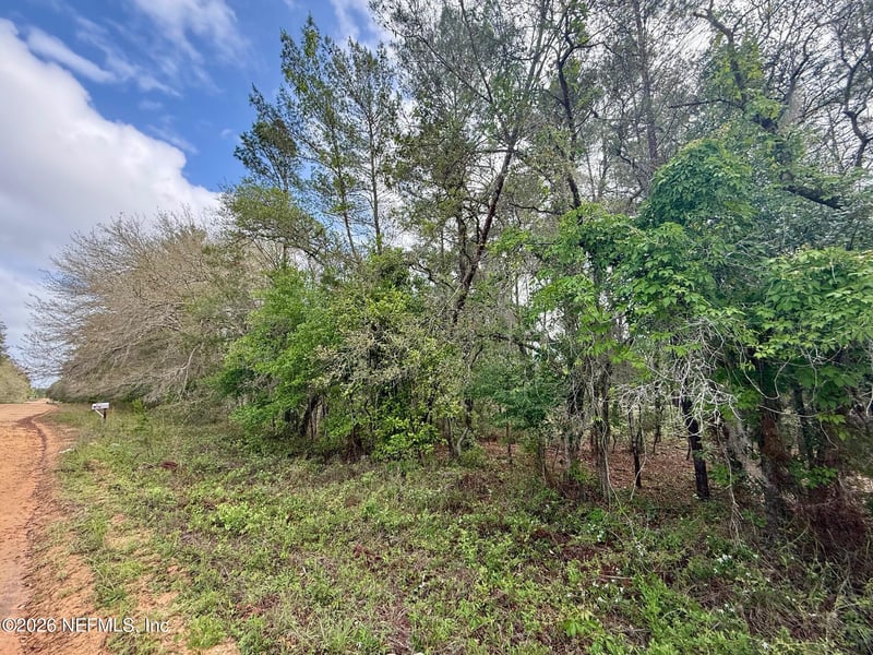 XXX Neilsen Ave, Interlachen, FL 32148