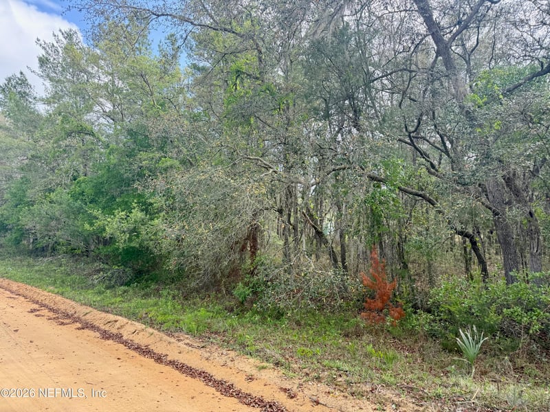 XXX Neilsen Ave, Interlachen, FL 32148