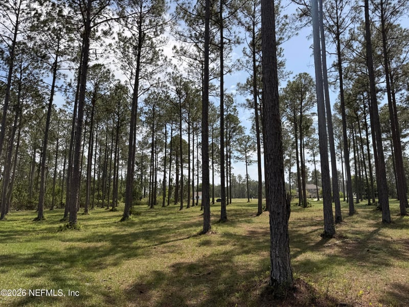 10107 Hunters Chase Ct, Jacksonville, FL 32219