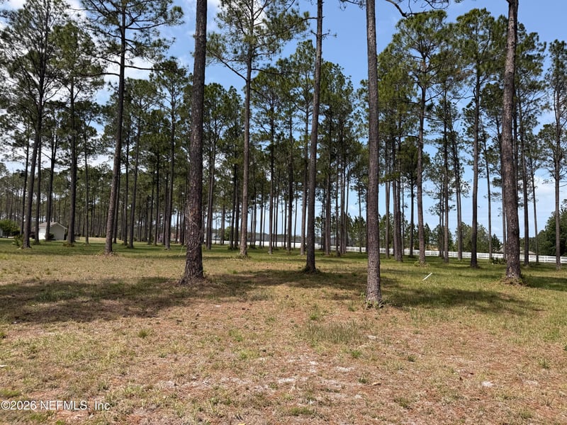 10107 Hunters Chase Ct, Jacksonville, FL 32219