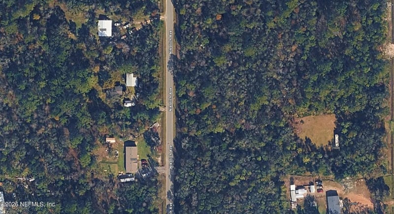 10230 Nikolich Ave, Hastings, FL 32145