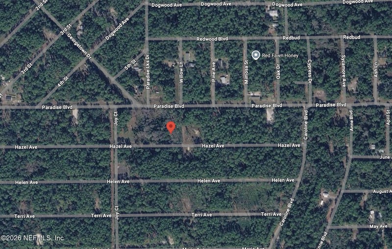 212 Hazel Ave, Georgetown, FL 32139