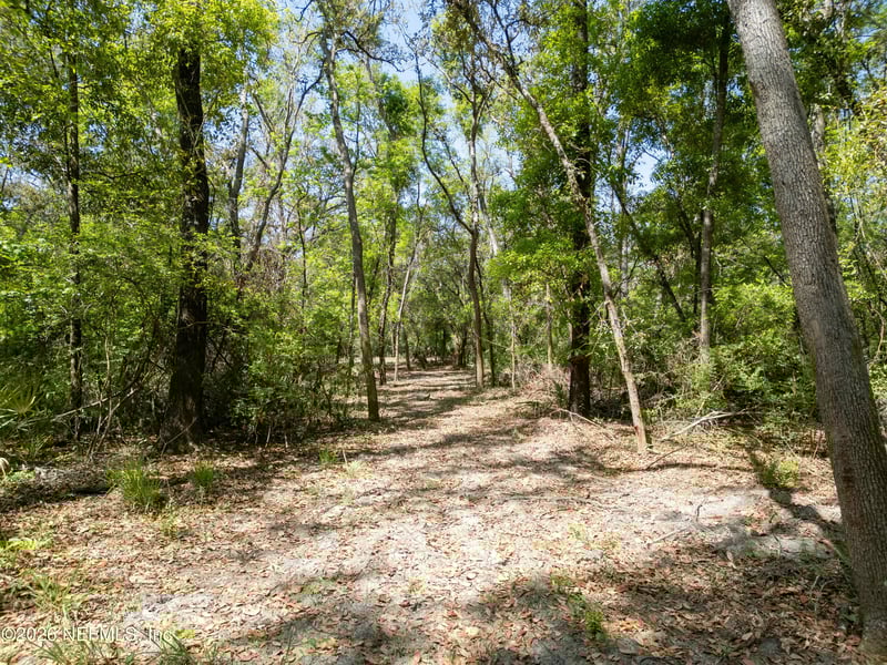 LOT 12 Madison Bluffs Way, Lee, FL 32059