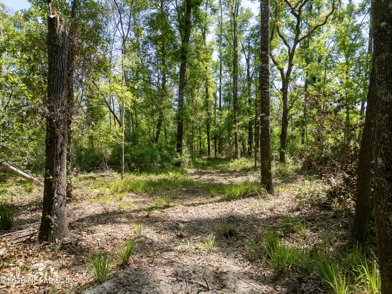 LOT 12 Madison Bluffs Way, Lee, FL 32059