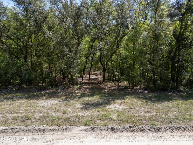 LOT 12 Madison Bluffs Way, Lee, FL 32059