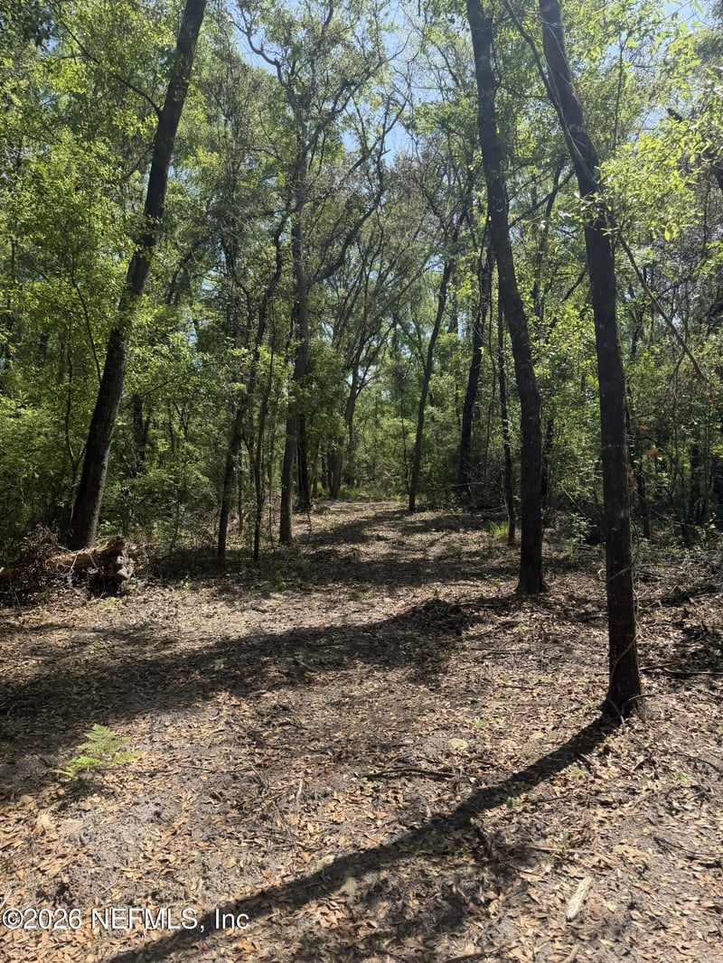 LOT 12 Madison Bluffs Way, Lee, FL 32059