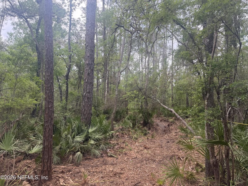 67th Pl, White Springs, FL 32096