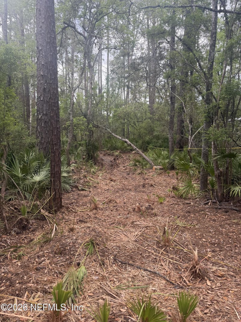 67th Pl, White Springs, FL 32096