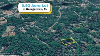 102 Hyacinth Ct, Georgetown, FL 32139