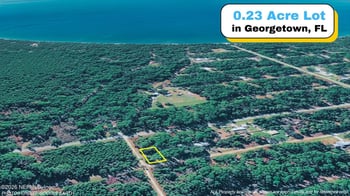 TBD Corner Lot 1 Birch Blvd, Georgetown, FL 32139