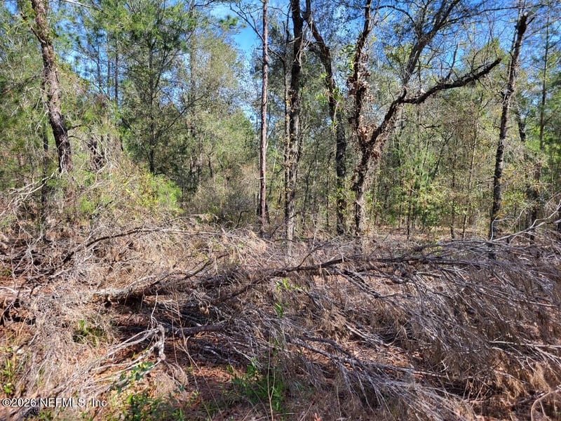 6040 Furman Ave, Keystone Heights, FL 32656