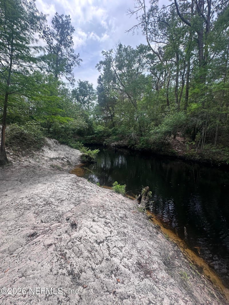 000 Black Creek Dr, Middleburg, FL 32068