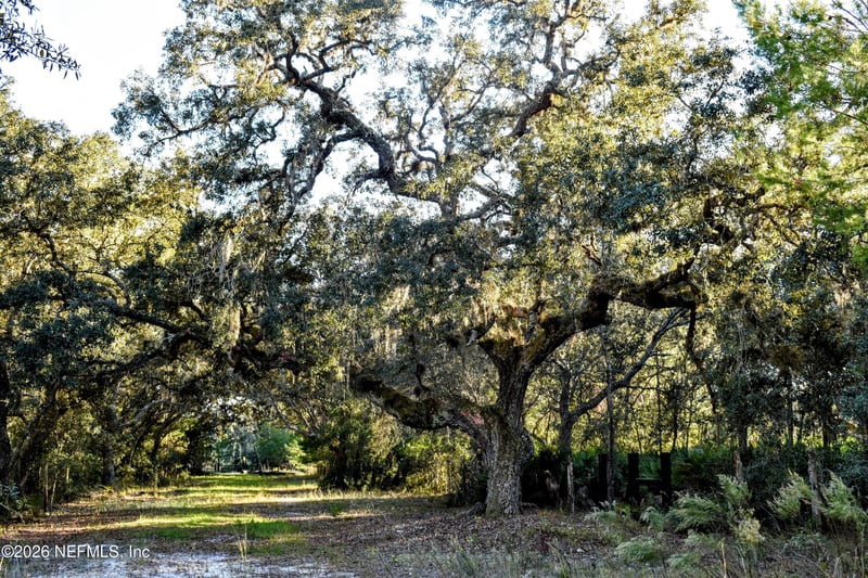 224 Rodeo Dr, Interlachen, FL 32148