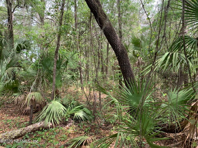 00 Old Woods Rd, Interlachen, FL 32148