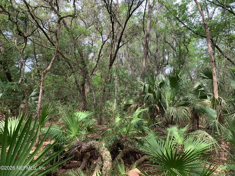 00 Old Woods Rd, Interlachen, FL 32148