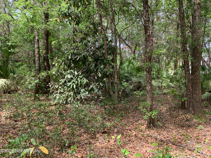 00 Old Woods Rd, Interlachen, FL 32148