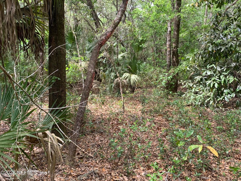 00 Old Woods Rd, Interlachen, FL 32148