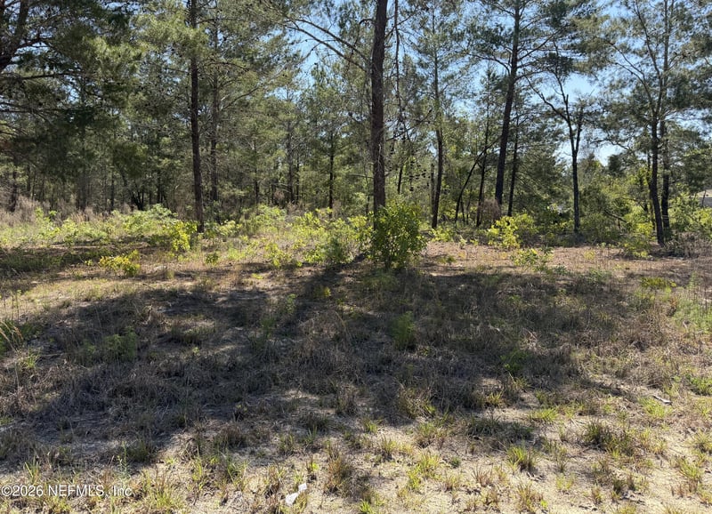 7577 Casa Grande Blvd, Keystone Heights, FL 32656