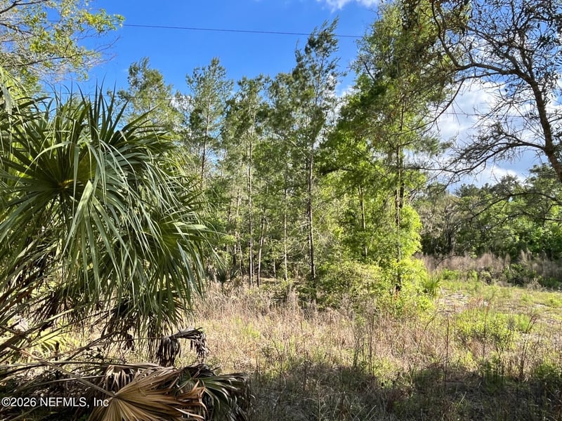 113 Florida Blvd, Satsuma, FL 32189