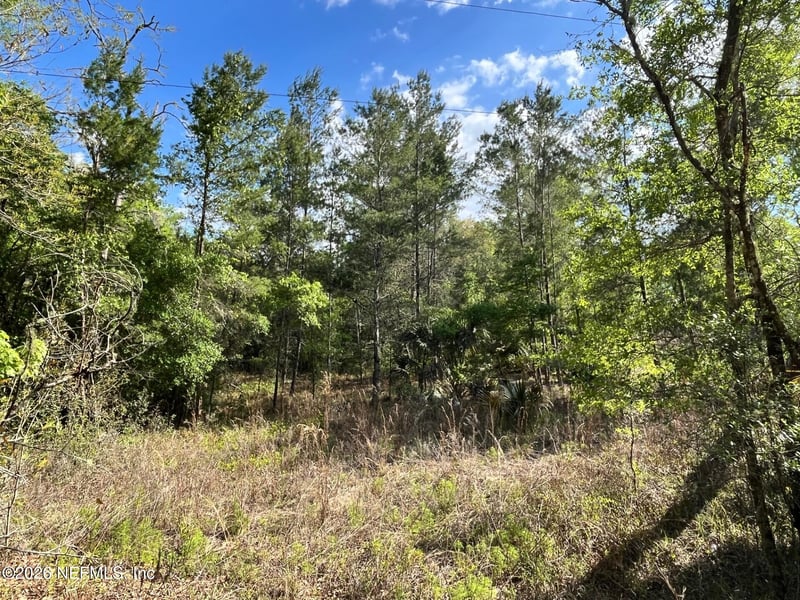 113 Florida Blvd, Satsuma, FL 32189