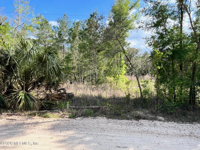 113 Florida Blvd, Satsuma, FL 32189