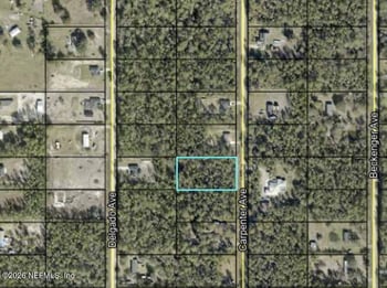 10265 Carpenter Ave, Hastings, FL 32145
