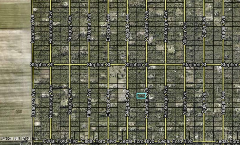 10265 Carpenter Ave, Hastings, FL 32145