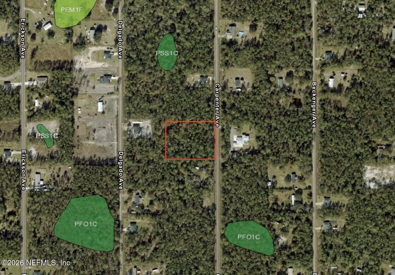 10265 Carpenter Ave, Hastings, FL 32145