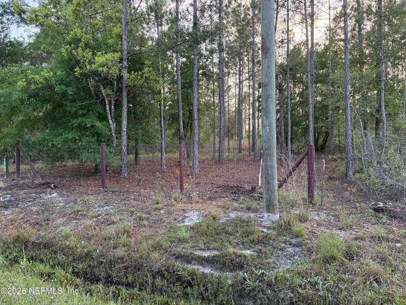 10265 Carpenter Ave, Hastings, FL 32145