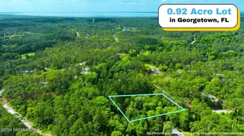 102 Hyacinth Ct, Georgetown, FL 32139