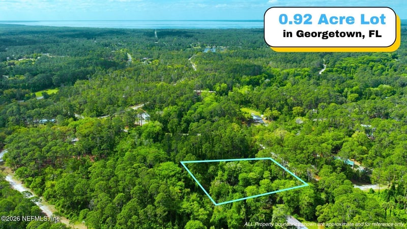 102 Hyacinth Ct, Georgetown, FL 32139