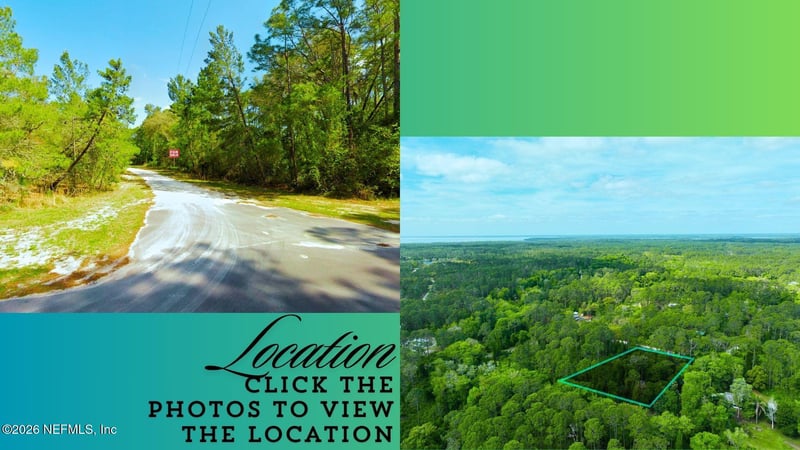 102 Hyacinth Ct, Georgetown, FL 32139