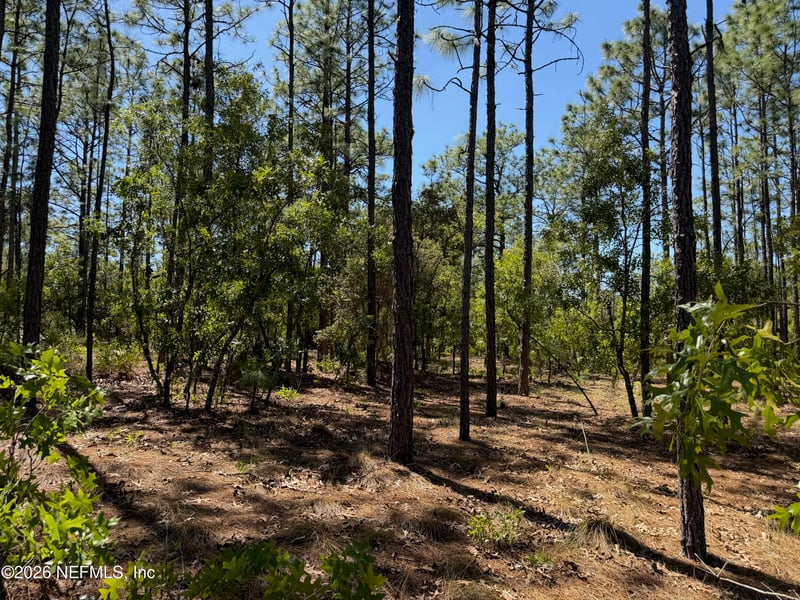 4247 Amarillo Dr, Beverly Hills, FL 34465