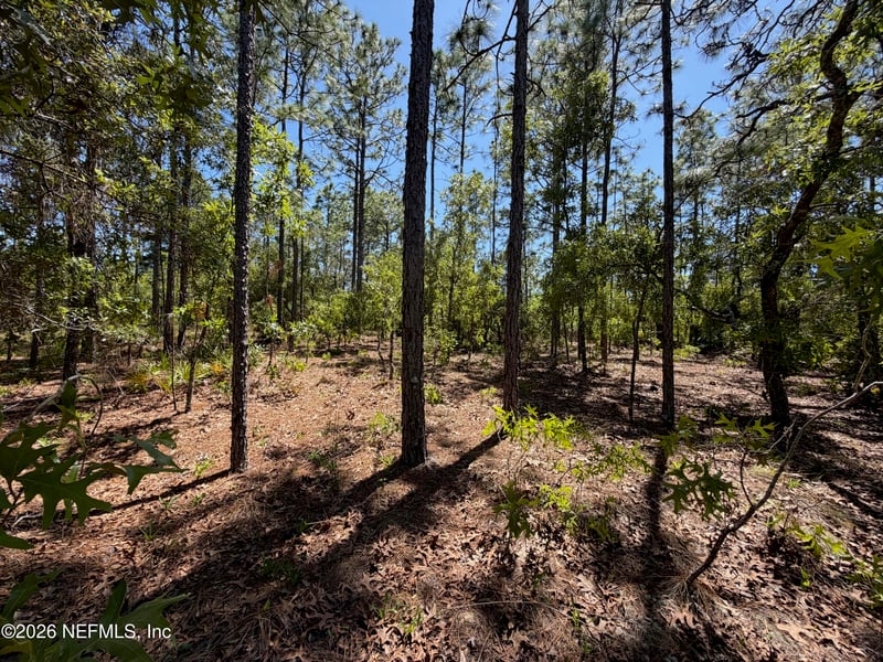 4247 Amarillo Dr, Beverly Hills, FL 34465