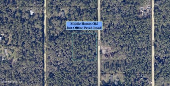 10655 Flikkema Ave, Hastings, FL 32145