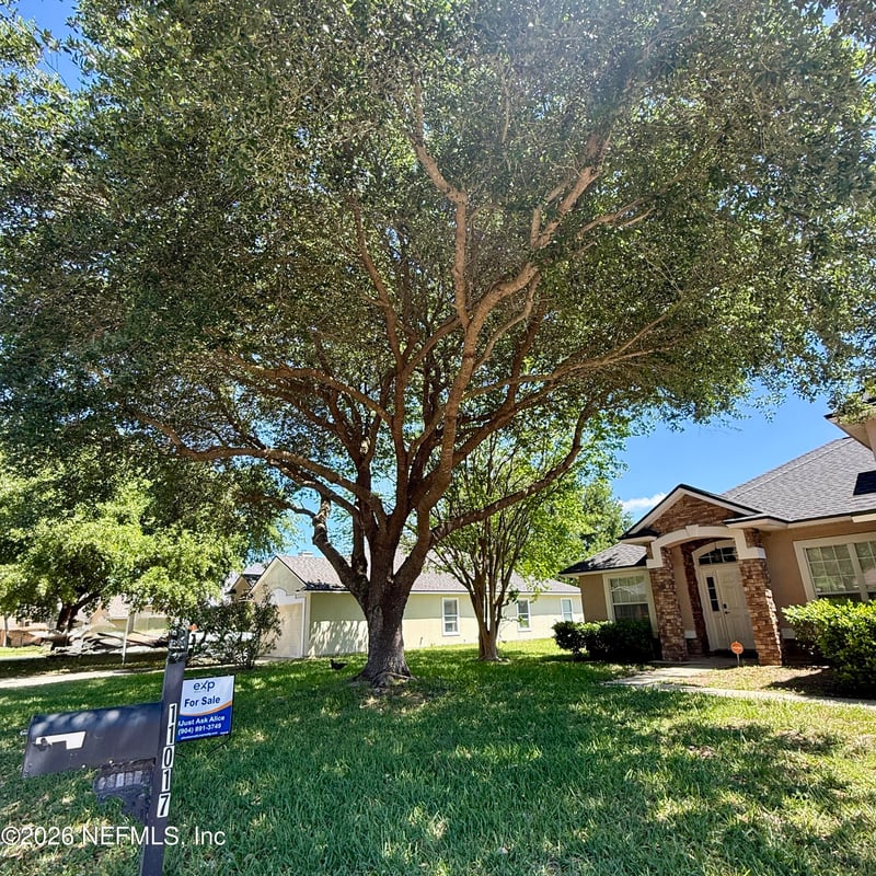 11017 Apple Blossom Trl, Jacksonville, FL 32218