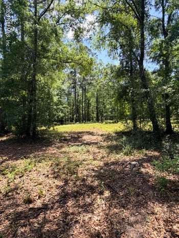 Old Kings Rd, Jacksonville, FL 32219