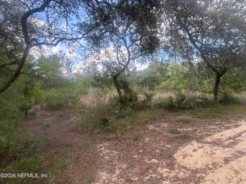 233rd Pl, Fort Mccoy, FL 32134