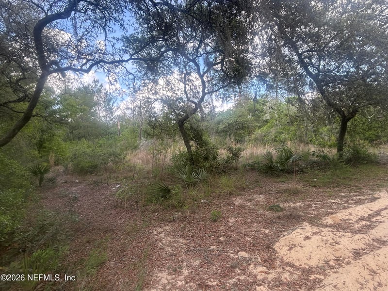 233rd Pl, Fort Mccoy, FL 32134