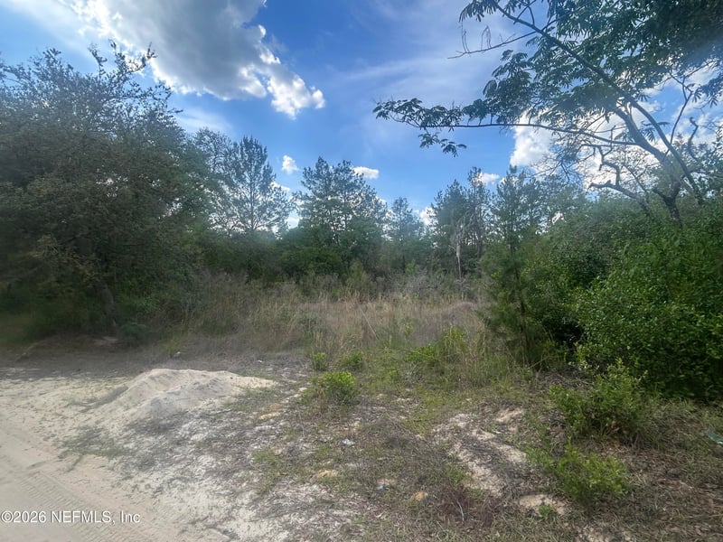 233rd Pl, Fort Mccoy, FL 32134