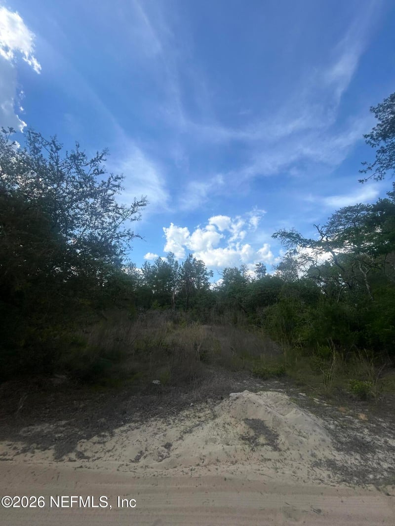 233rd Pl, Fort Mccoy, FL 32134