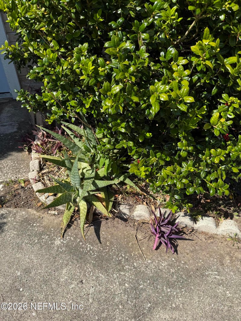 9305 Genna Trace Trl, Jacksonville, FL 32257