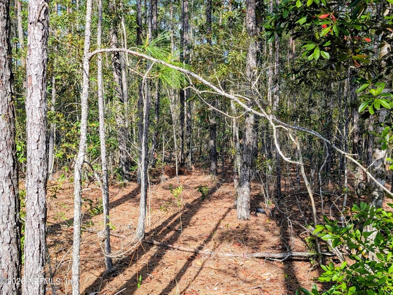 Us Hwy 301, Waldo, FL 32694