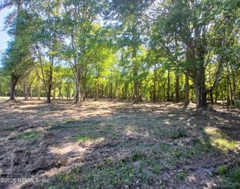 54075 Roy Booth Rd, Callahan, FL 32011