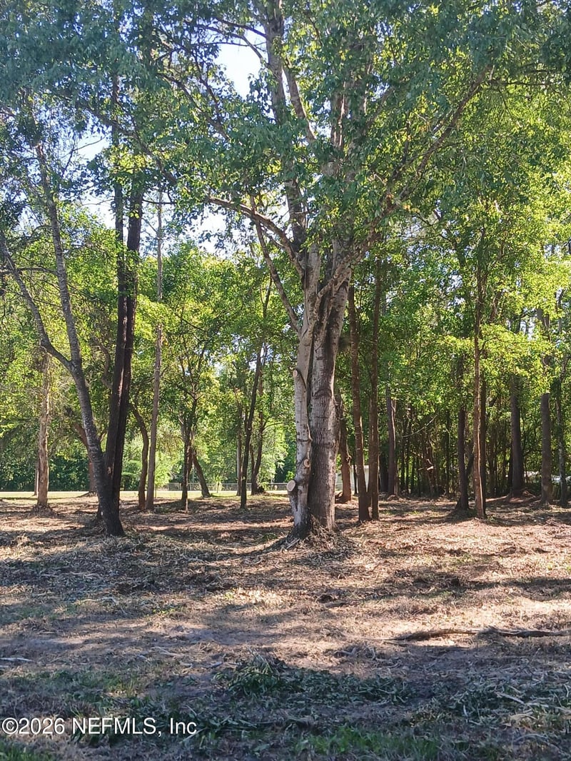 54075 Roy Booth Rd, Callahan, FL 32011