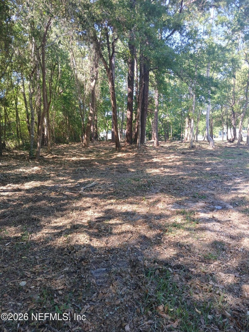 54075 Roy Booth Rd, Callahan, FL 32011