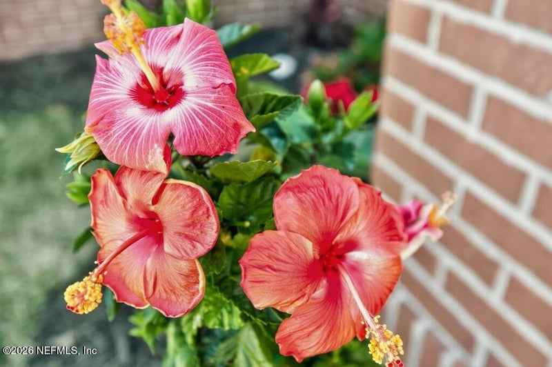 1218 Brighton Ridge Ct, Jacksonville, FL 32218