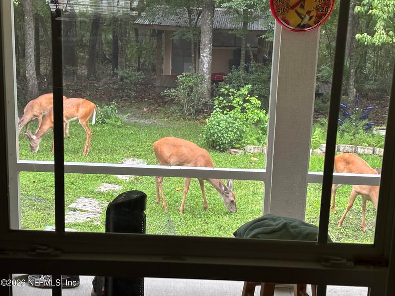 4555 Tarragon Ave, Middleburg, FL 32068