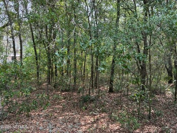 176 Maple Ln, Interlachen, FL 32148